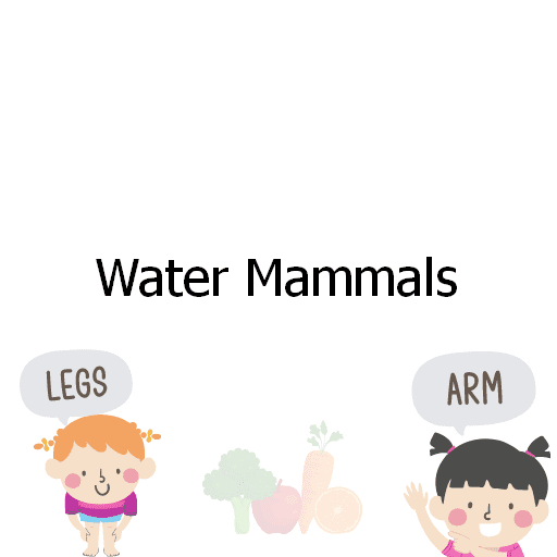 Water Mammals